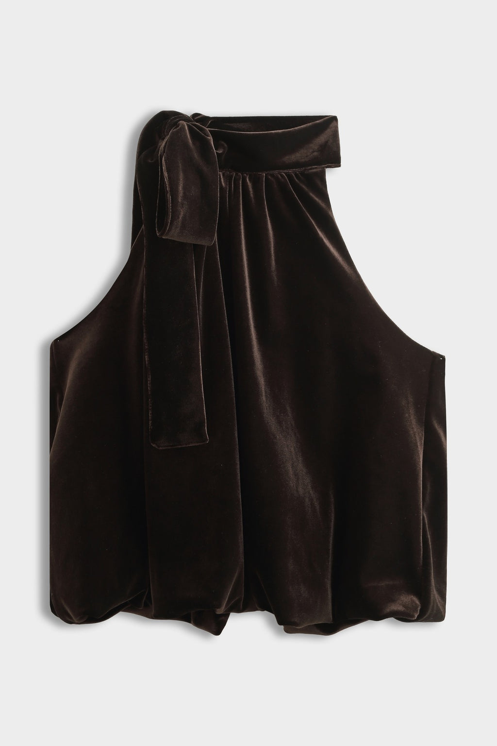 Brown Velvet Tie Neck Top