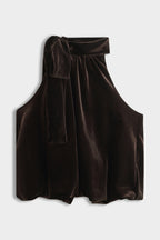 Brown Velvet Tie Neck Top