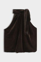 Brown Velvet Tie Neck Top