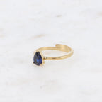 Navy Holly Ring