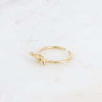 Nia Ring