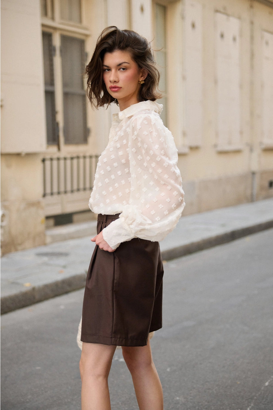 Brown Sheer Dotted Blouse