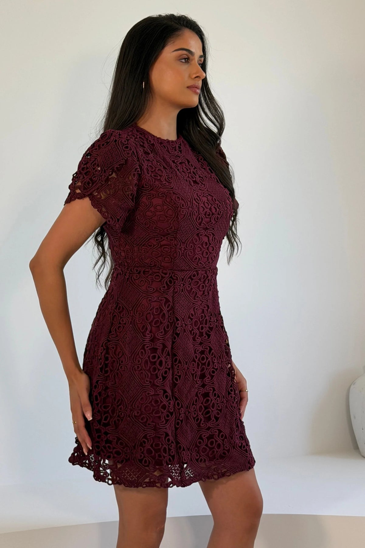 Plum Ami Lace Dress